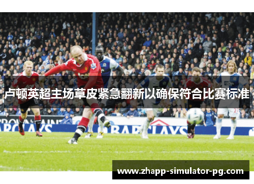 卢顿英超主场草皮紧急翻新以确保符合比赛标准